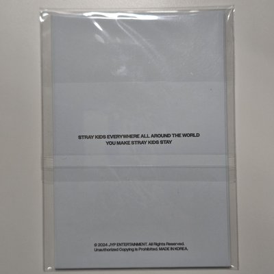 Stray Kids 三巡 dominATE 8/31 STAY ZONE 場限卡(粽卡)🦊I.N 精寅(附原包裝)