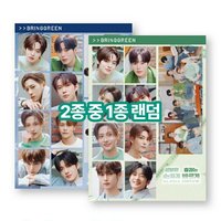 BRINGGREEN 貼紙 