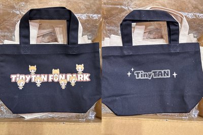 BTS tinytan 帆布袋