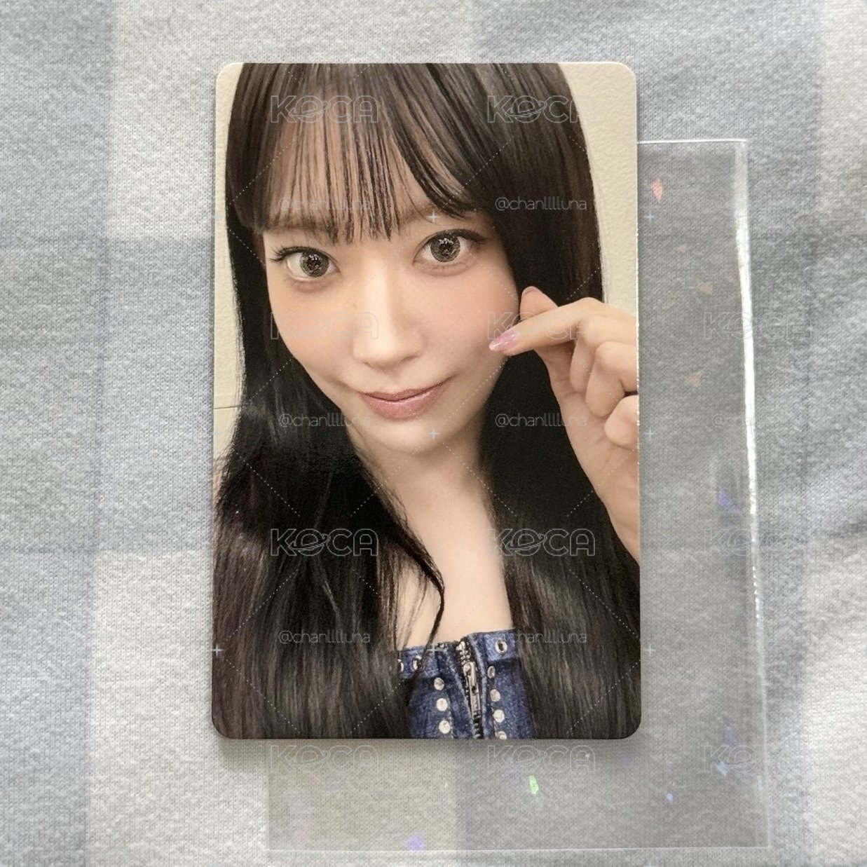 🌸小小盤