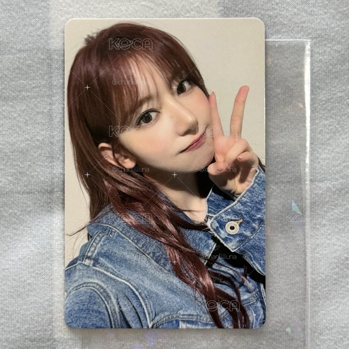🌸小小盤