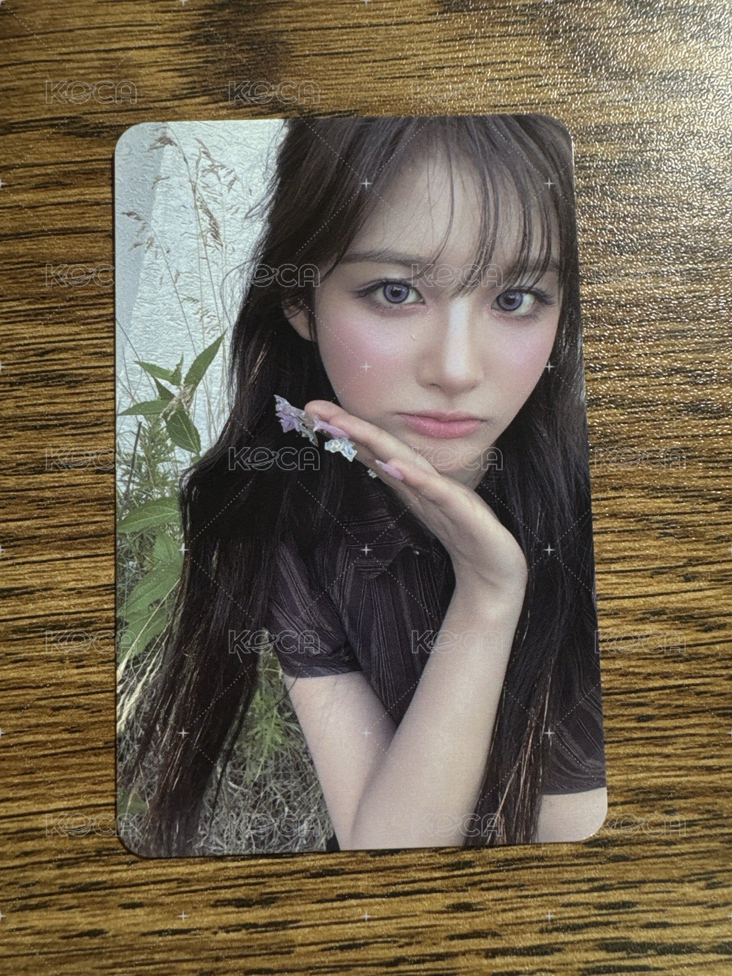薛a