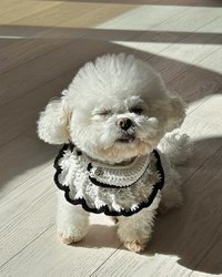 WOOFDESU