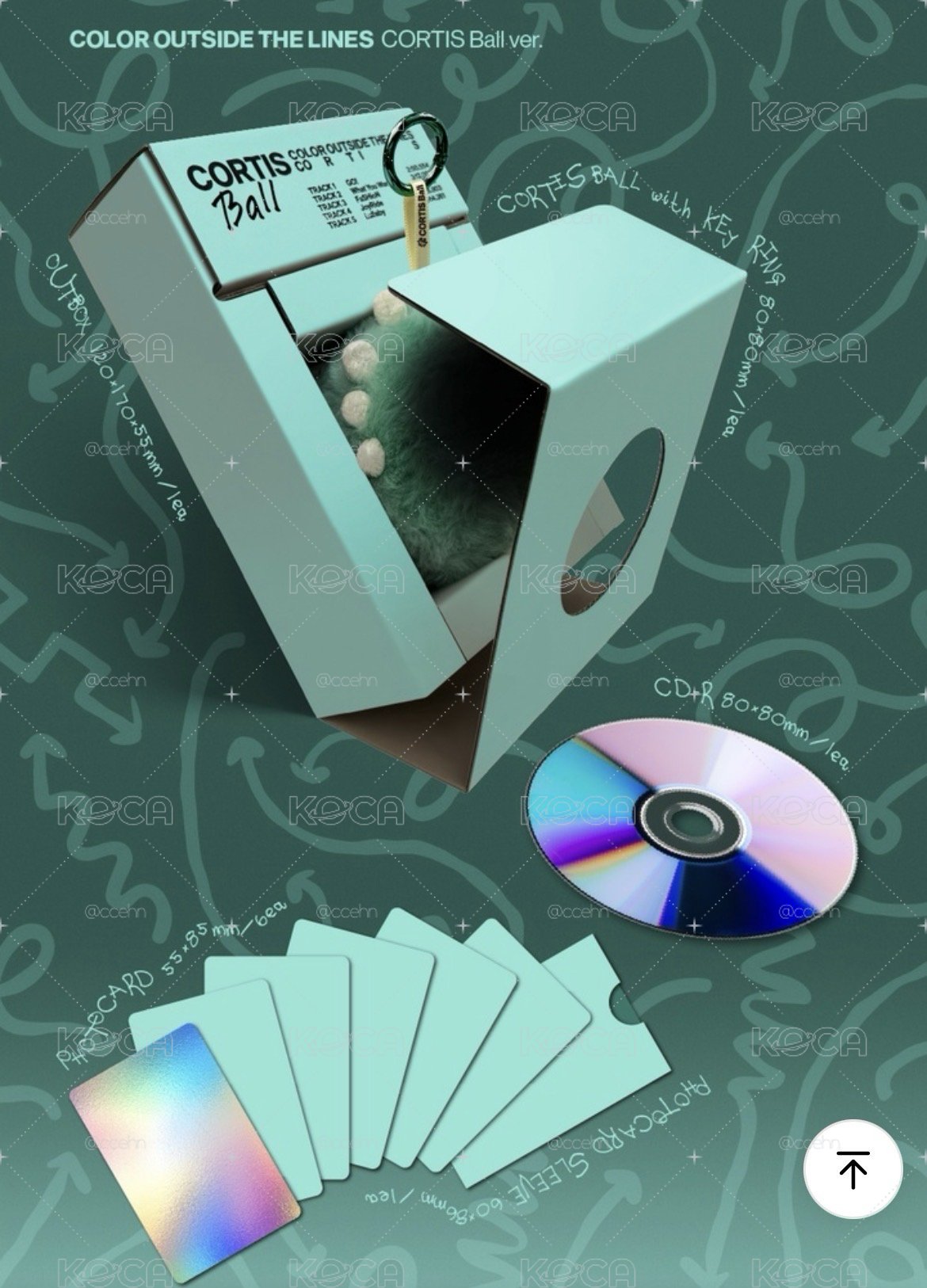 CORTIS迷一 球專