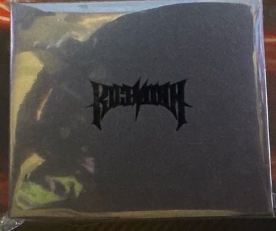 全新未拆 Rich Man 周邊卡&快閃鑰匙圈Winter