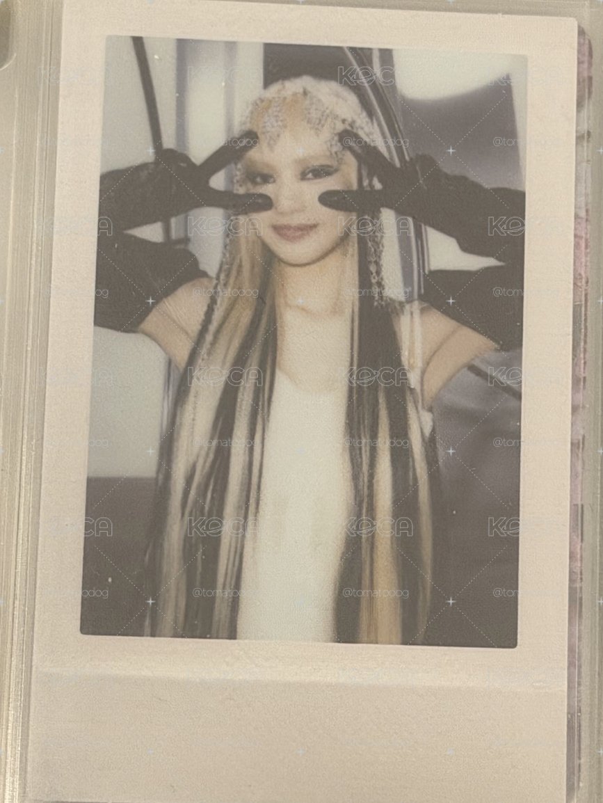 BORN PINK 專輯卡 Gray ver.Pola B ver.