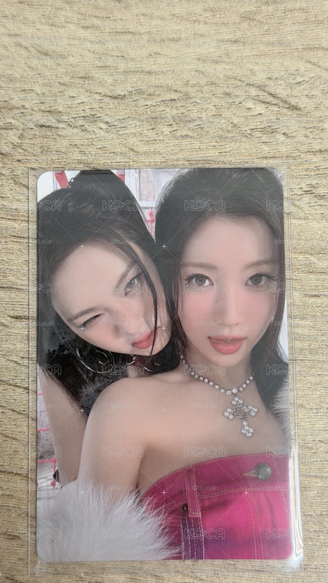 團體卡專區