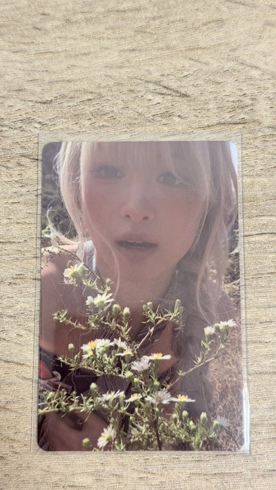 卡套卡（露/茶/賢/塔/柒）