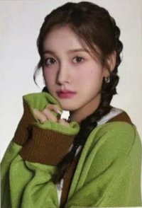 泰迪熊 日版 明信片 