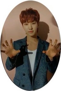 特二 專輯卡 橢圓卡