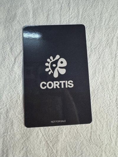 Cortis 環球安乾鎬