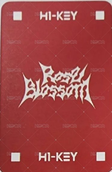 迷你一 sw 簽售卡  背面