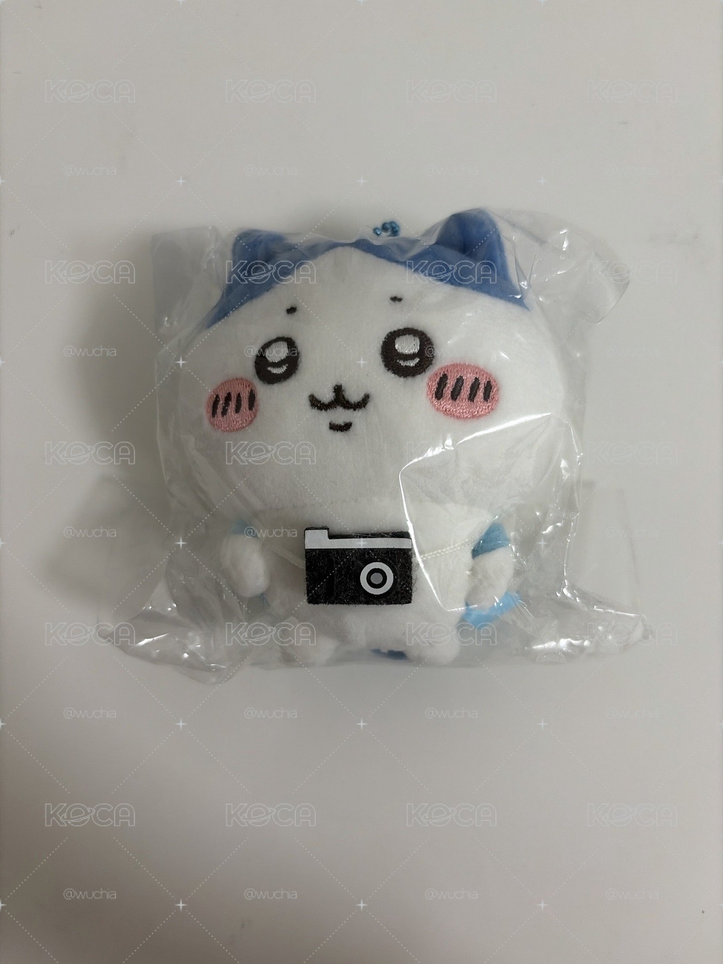 出遊系列 小八