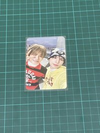 陽光下的大樹15