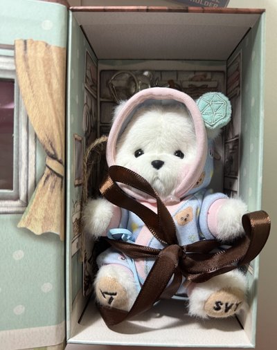 🐻SEVENTEENXTeddy Tales 十週年聯名