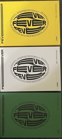 fever epilogue 三版空專