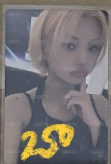 iDOL 世巡演唱會電影卡