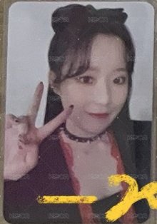 2022世巡