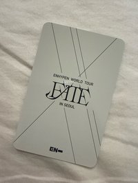 禎元 FATE DVD自拍卡