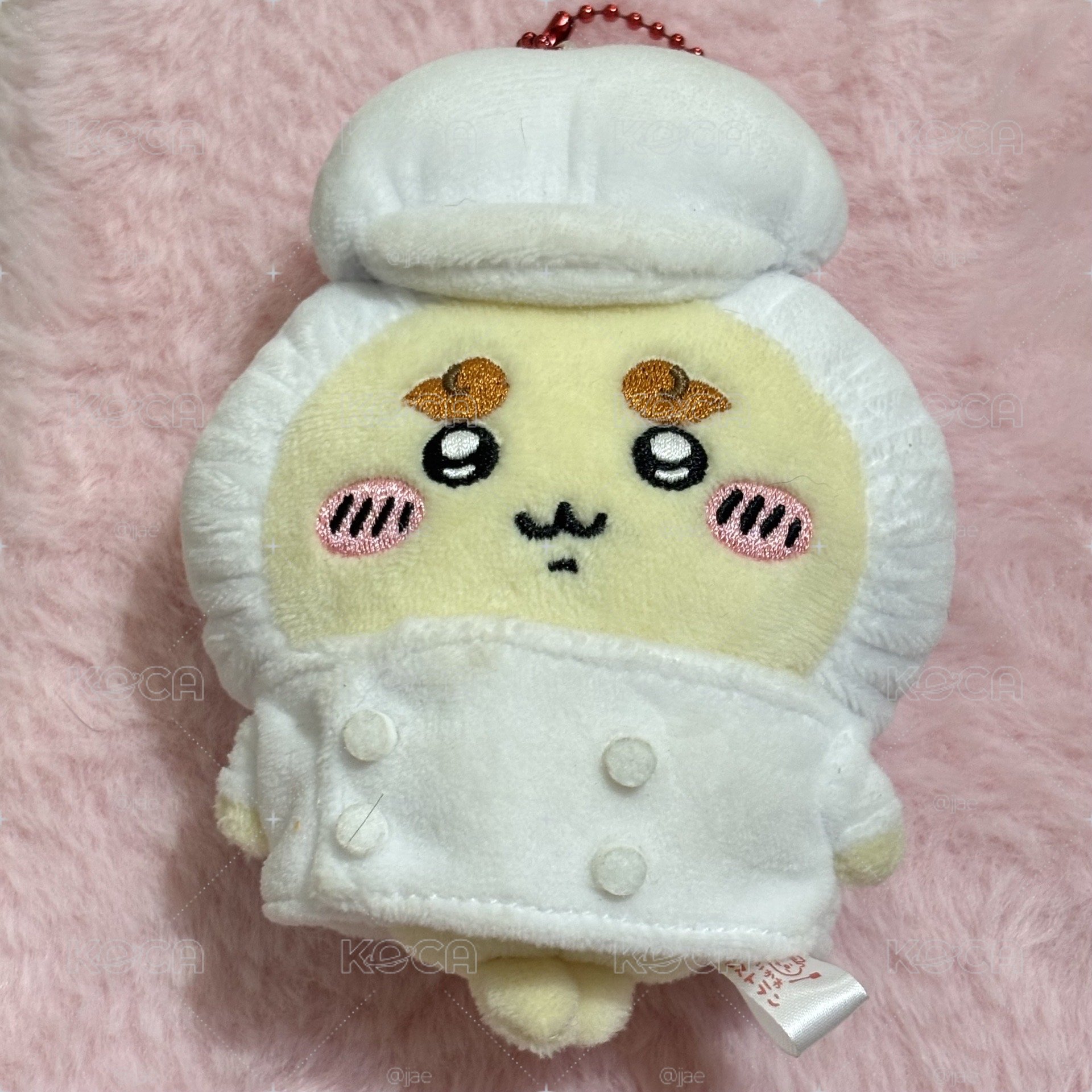 廚師獅薩