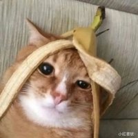 餅乾🍪下單前請看個人簡介