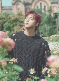 6th MINI (PLATFORM ver.) 明信片 