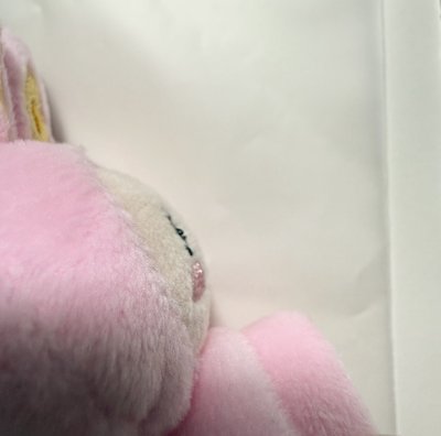 MINITEEN 쫑토람手燈套、卡套