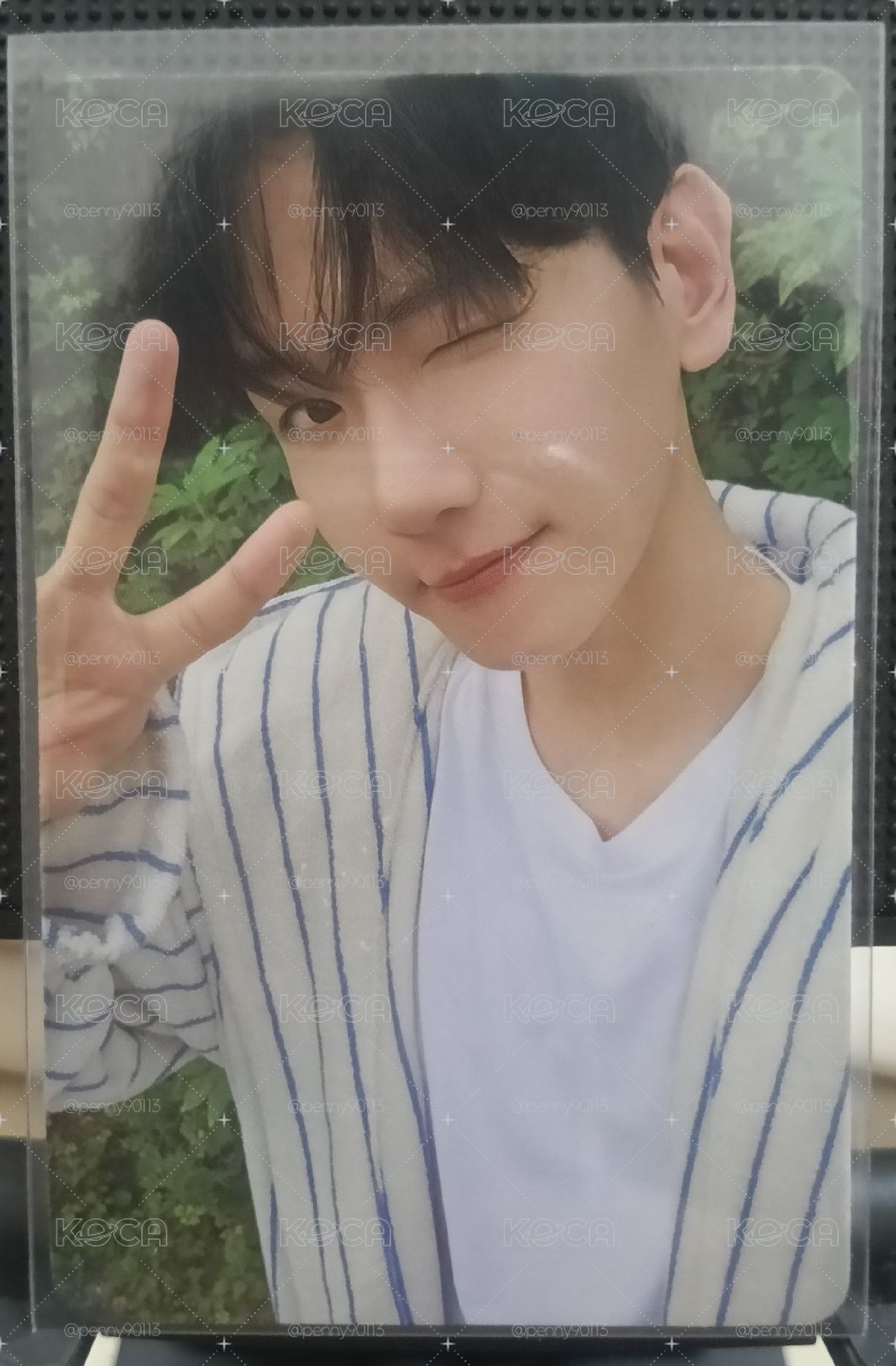 bolo4 專輯卡 Pineapple ver.