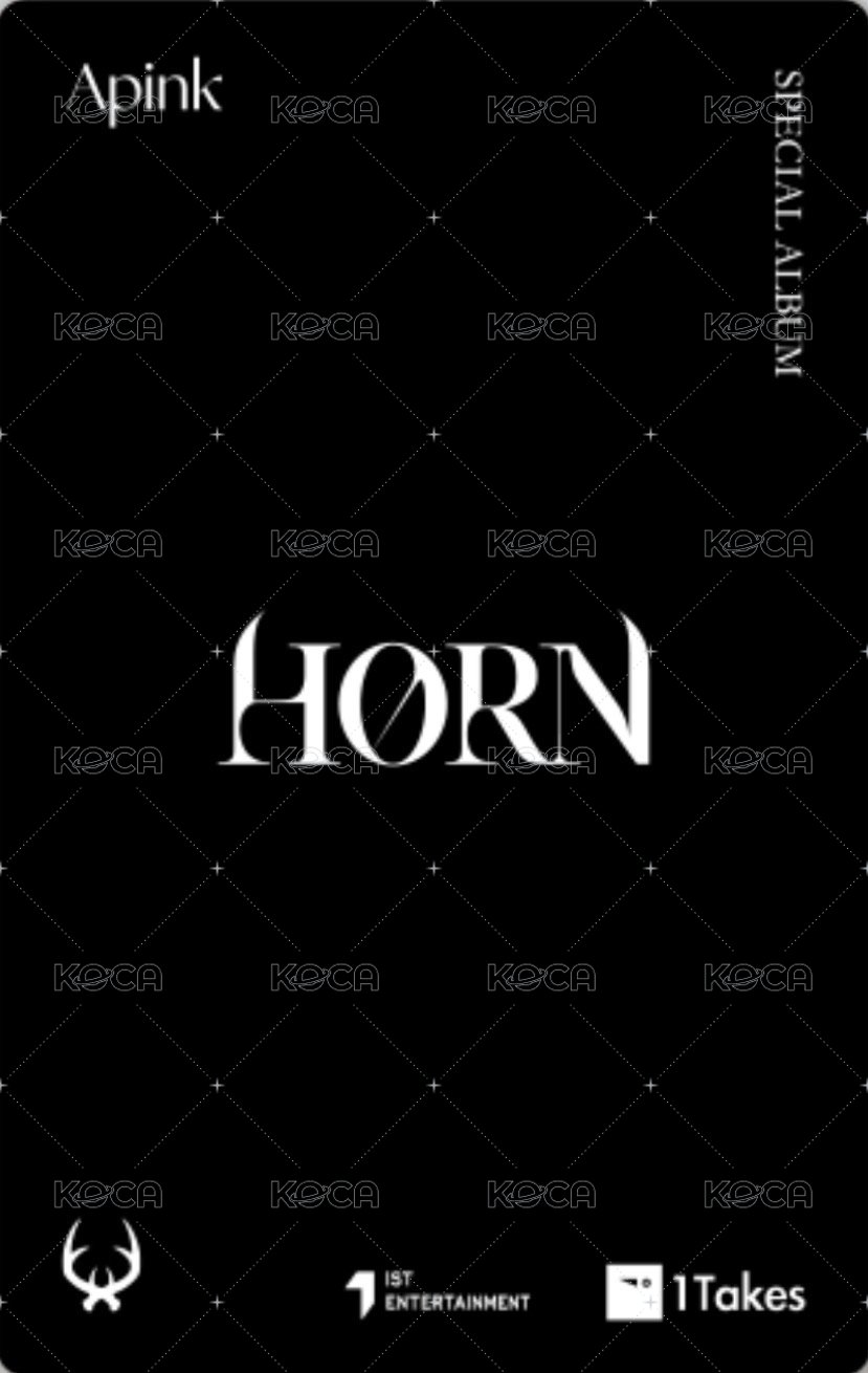 HORN 電子專 專輯卡  背面