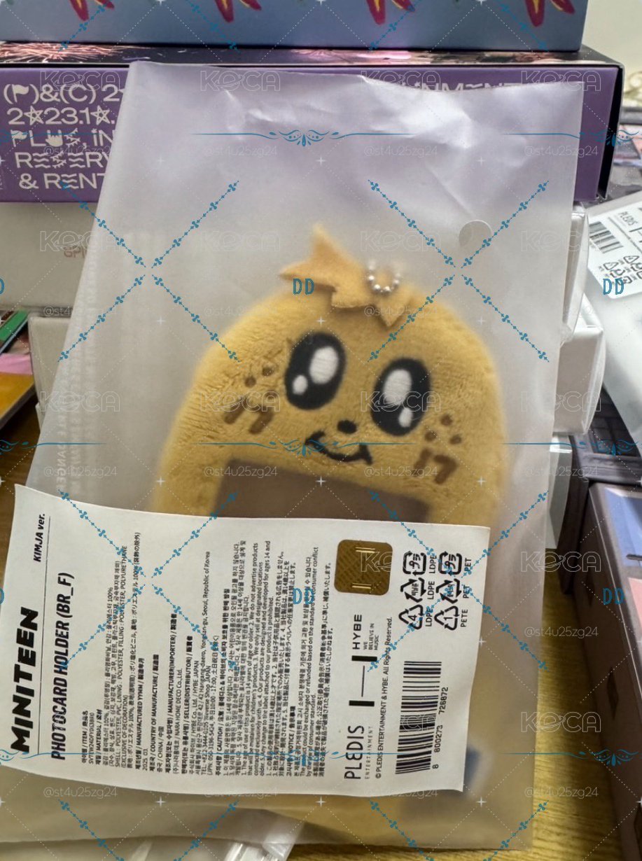 全新未拆 miniteen 奎卡套盤