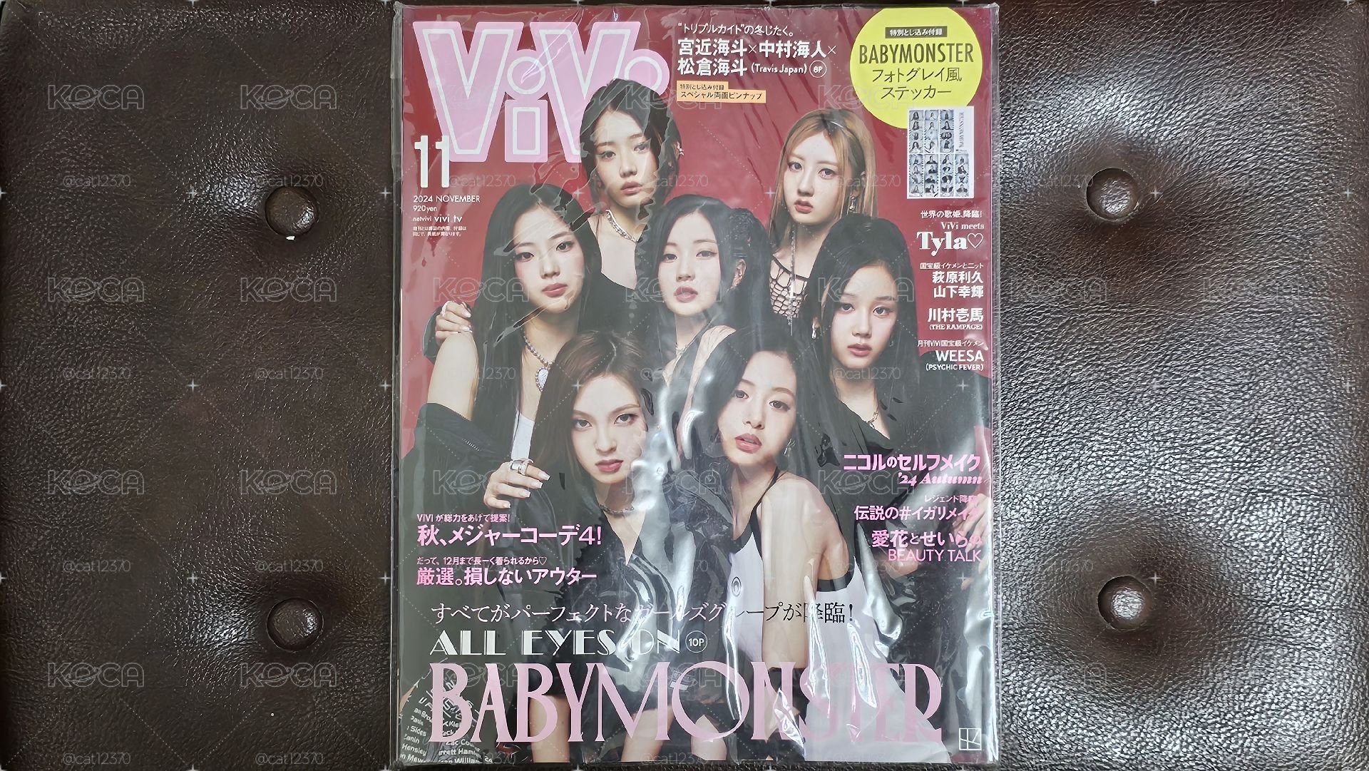 ViVi JAPAN (2024.11)