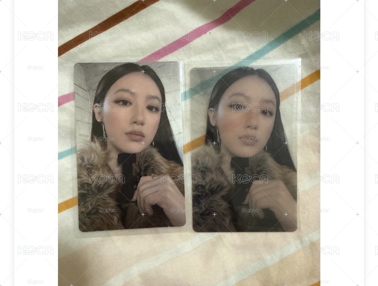 wvs小卡+透卡