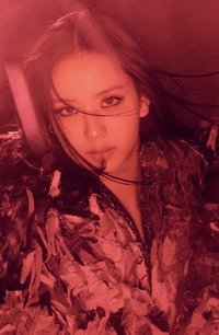 DEADLINE 歌詞本小卡組 周邊卡 