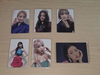 全帶（含右下員瑛小卡）