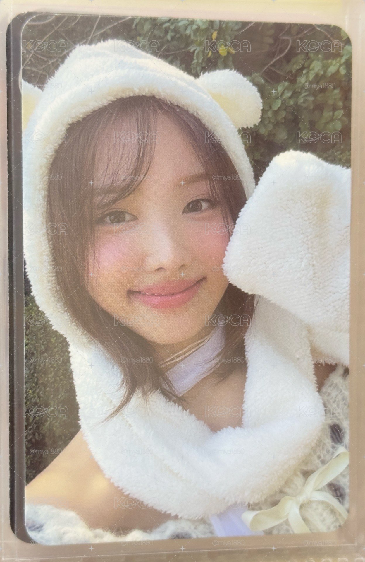 熊帽璉