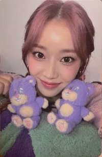 Teddy Bear 專輯卡 