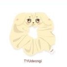 ANITEEZ IN TREASURE 髮飾 PLUSH SCRUNCHIE