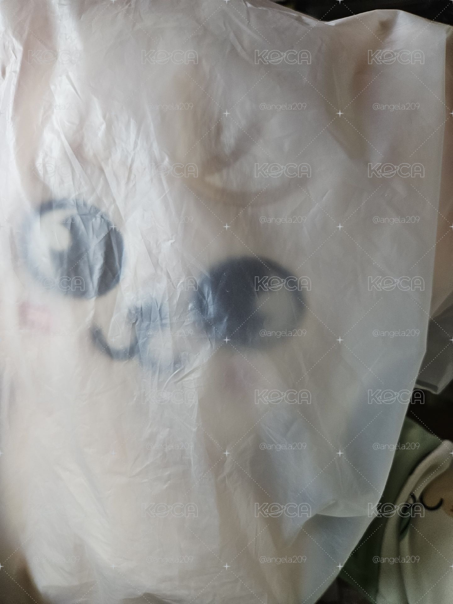 側背娃