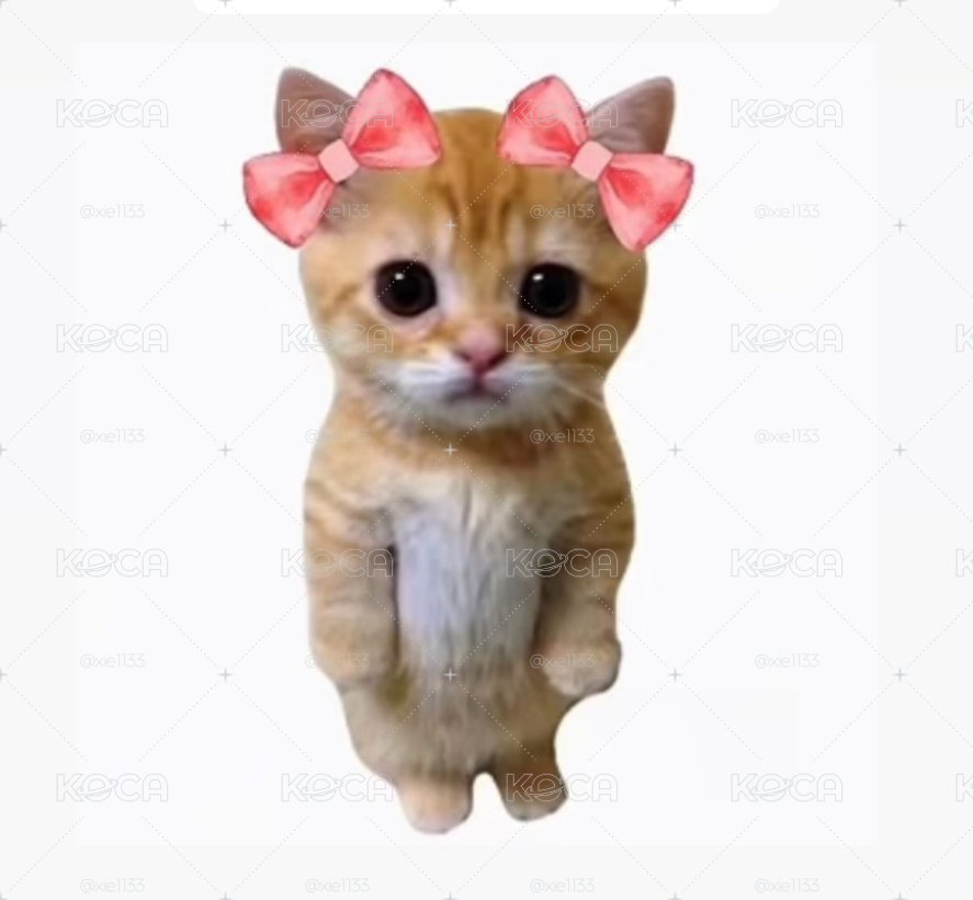 現貨｜Meovv小卡