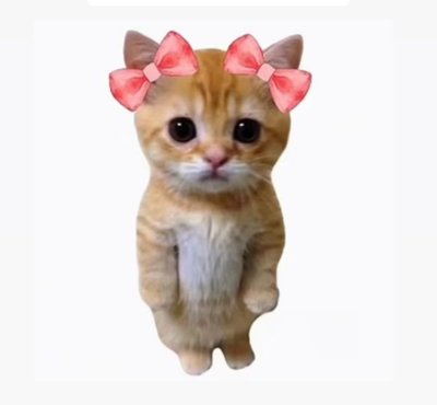 現貨Meovv小卡②