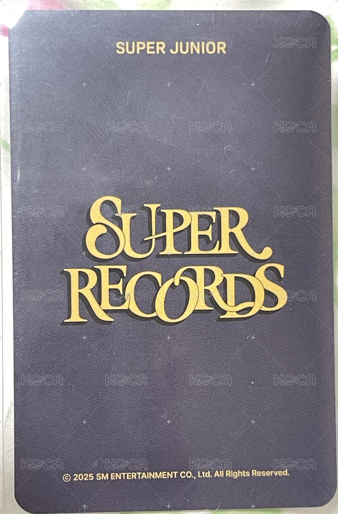 20週年展覽 首爾 周邊卡 購物袋卡 背面