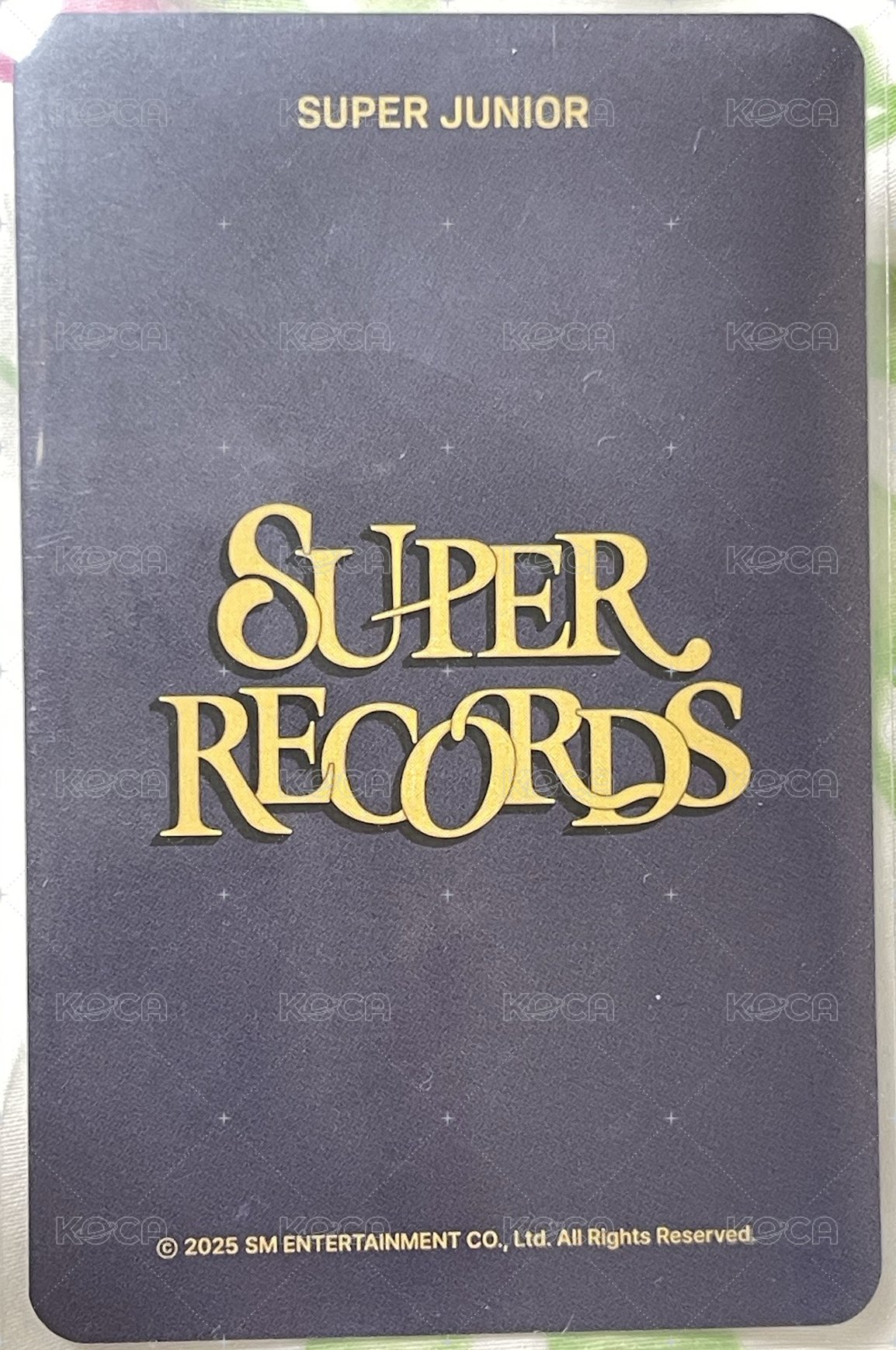 20週年展覽   首爾展 周邊卡 衣服卡 背面