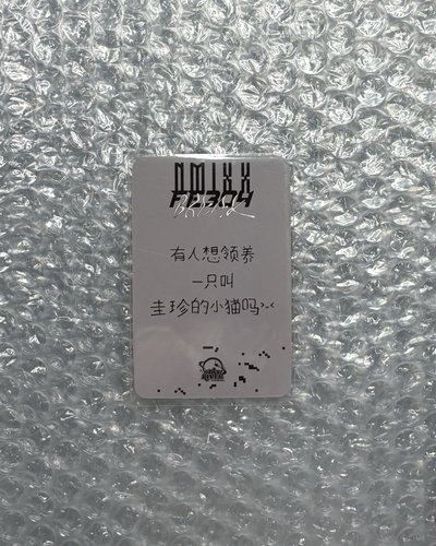 Nmixx Kyujin sr預售中文卡背 有人想領養一隻叫圭珍的小貓嗎