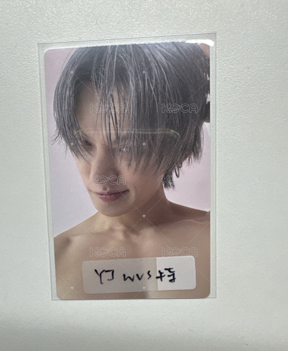 YJ WVS 特2