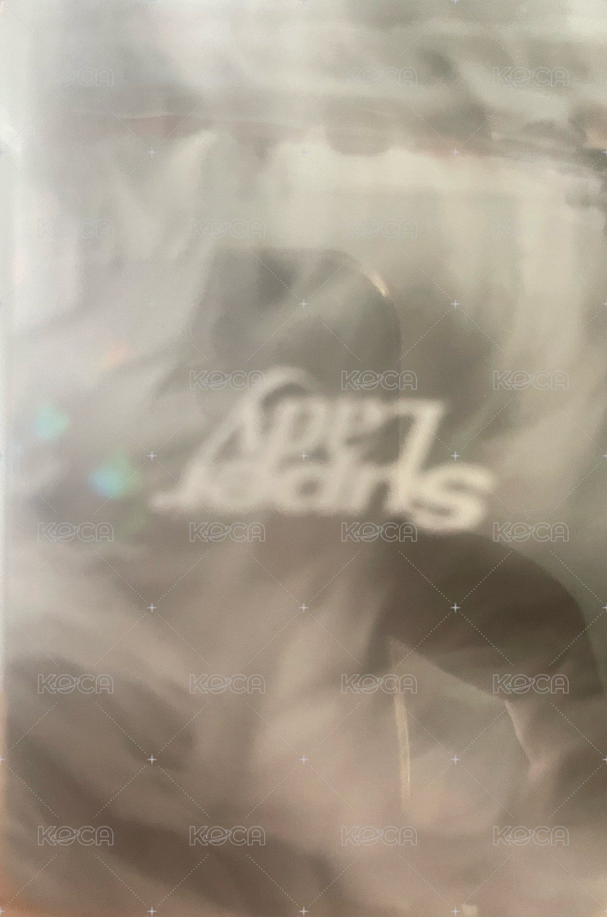 正規二快閃 專輯卡  背面