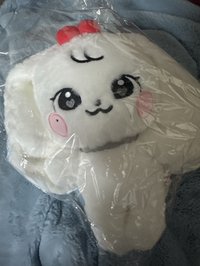 員瑛 30公分娃（無小卡）