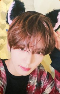 [𝐑𝐄-𝐅𝐋𝐎𝐖] ms 特典卡 貓 ver.