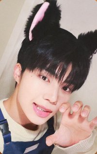 [𝐑𝐄-𝐅𝐋𝐎𝐖] ms 特典卡 貓 ver.