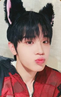 [𝐑𝐄-𝐅𝐋𝐎𝐖] ms 特典卡 貓 ver.