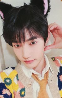 [𝐑𝐄-𝐅𝐋𝐎𝐖] ms 特典卡 貓 ver.